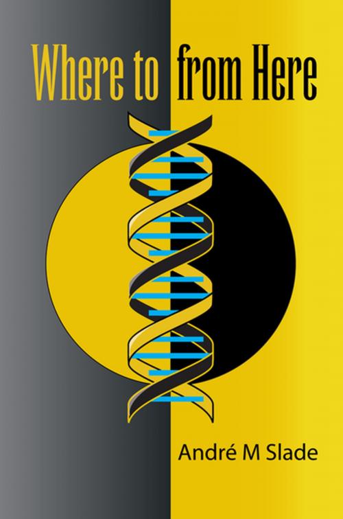 Cover of the book Where to from Here by Andre M. Slade, Xlibris UK