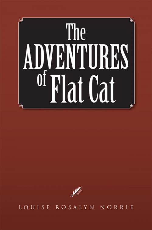 Cover of the book The Adventures of Flat Cat by Louise Rosalyn Norrie, Xlibris US