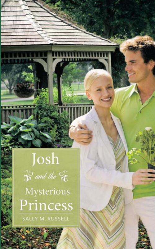 Cover of the book Josh and the Mysterious Princess by Sally M. Russell, AuthorHouse