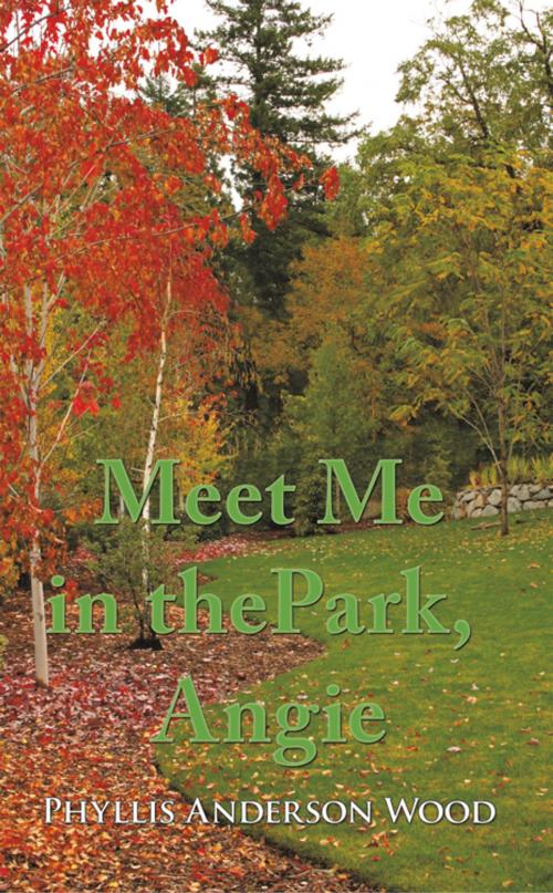 Cover of the book Meet Me in the Park, Angie by Phyllis Anderson Wood, AuthorHouse