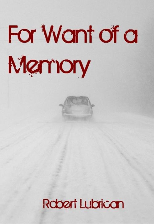 Cover of the book For Want of a Memory by Robert Lubrican, Robert Lubrican