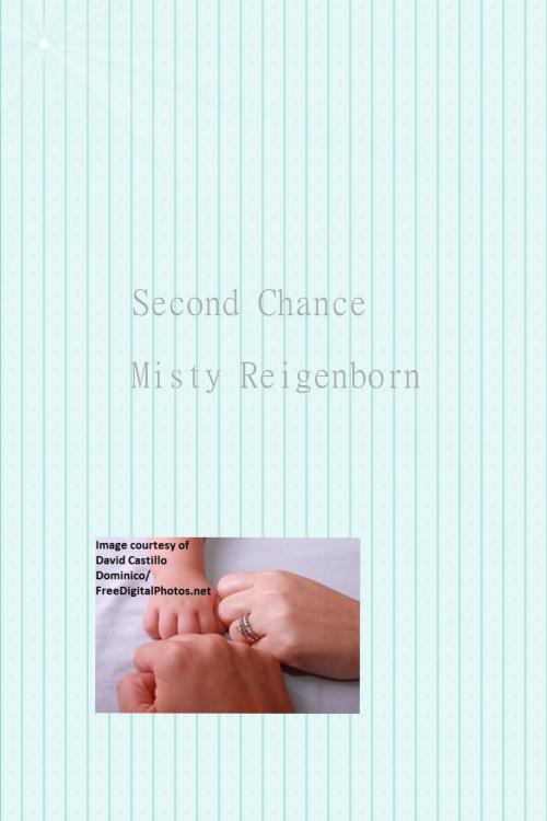Cover of the book Second Chance by Misty Reigenborn, Misty Reigenborn