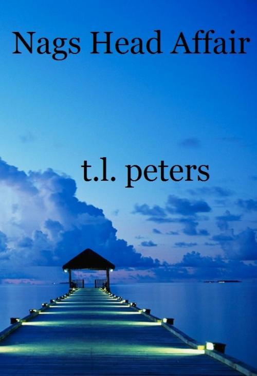 Cover of the book Nags Head Affair by T.L. Peters, T.L. Peters