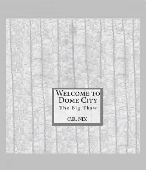 Cover of the book Welcome to dome city-The big thaw! by C. R. Nix, C. R. Nix