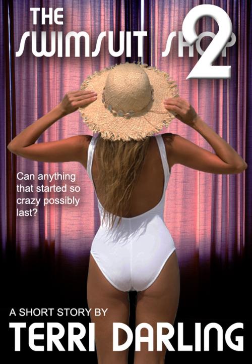 Cover of the book The Swimsuit Shop 2 by Terri Darling, Fiero Publishing