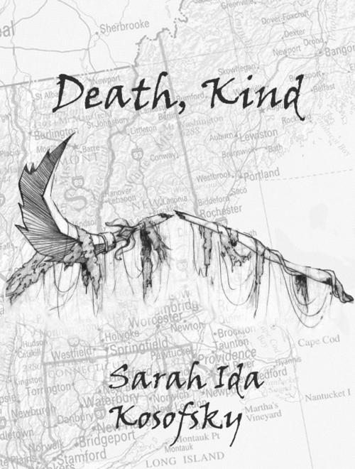 Cover of the book Death, Kind by Sarah Kosofsky, Sarah Kosofsky