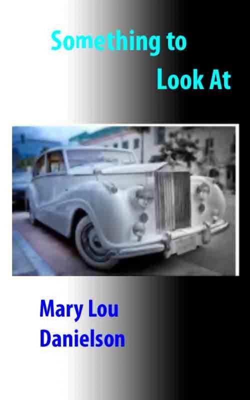 Cover of the book Something To Look At by Mary Lou Danielson, Mary Lou Danielson
