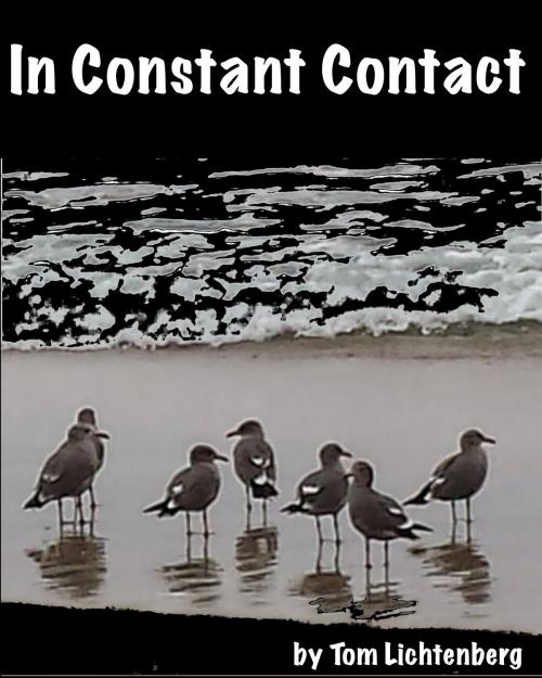 Cover of the book In Constant Contact by Tom Lichtenberg, Tom Lichtenberg