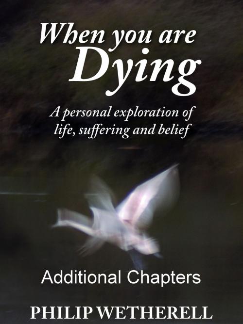 Cover of the book WHEN YOU ARE DYING: A Personal Exploration of Life, Suffering and Belief, ADDITIONAL CHAPTERS by Philip Wetherell, Gilead Books Publishing