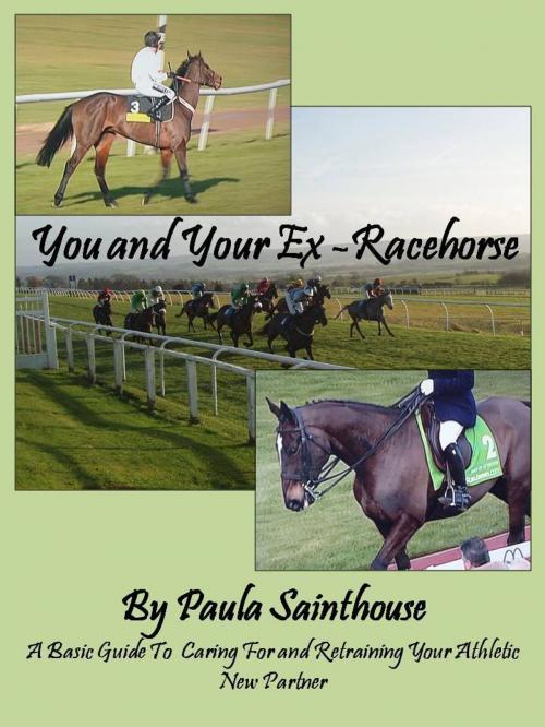 Cover of the book You and Your Ex-Racehorse: A Basic Guide to Caring for and Retraining Your Athletic New Partner by Paula Sainthouse, Paula Sainthouse