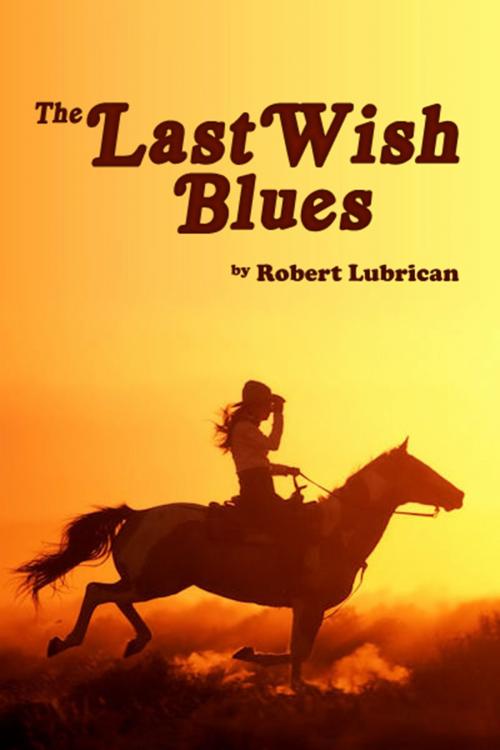 Cover of the book The Last Wish Blues by Robert Lubrican, Robert Lubrican