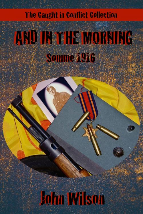 Cover of the book And in the Morning: Somme, 1916 by John Wilson, John Wilson