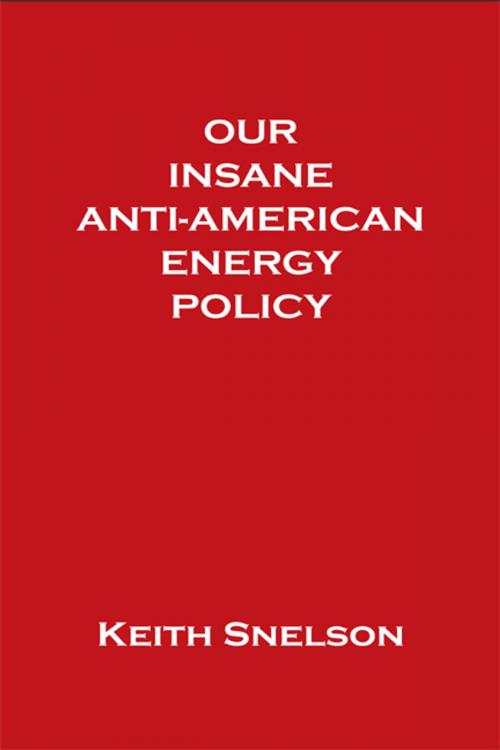 Cover of the book Our Insane Anti-American Energy Policy by Keith Snelson, Elderberry Press, Inc.
