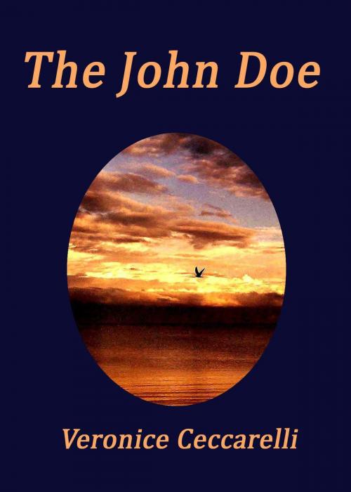 Cover of the book The John Doe by Veronice Ceccarelli, Veronice Ceccarelli