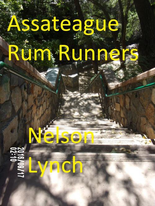 Cover of the book Assateague Rum Runners by Nelson Lynch, Nelson Lynch