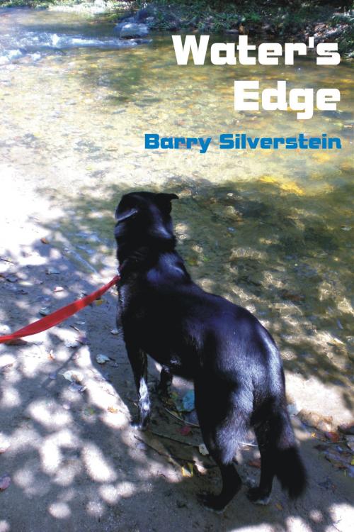 Cover of the book Water's Edge by Barry Silverstein, Barry Silverstein