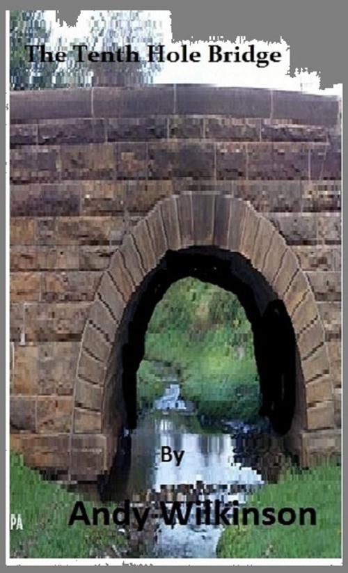 Cover of the book The Tenth Hole Bridge by Andy Wilkinson, Andy Wilkinson
