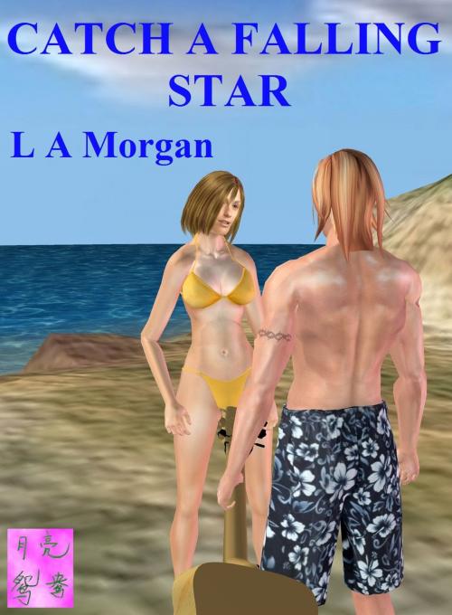 Cover of the book Catch A Falling Star by L A Morgan, L A Morgan
