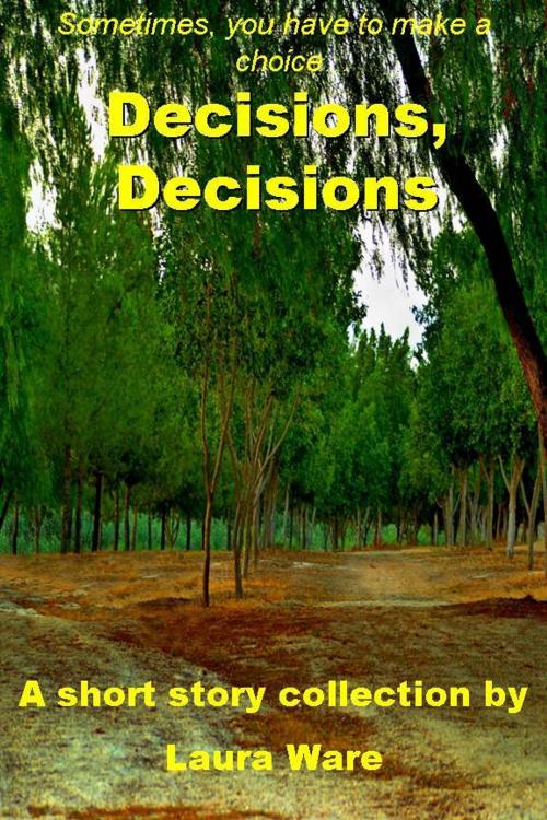 Cover of the book Decisions, Decisions by Laura Ware, JJ Press