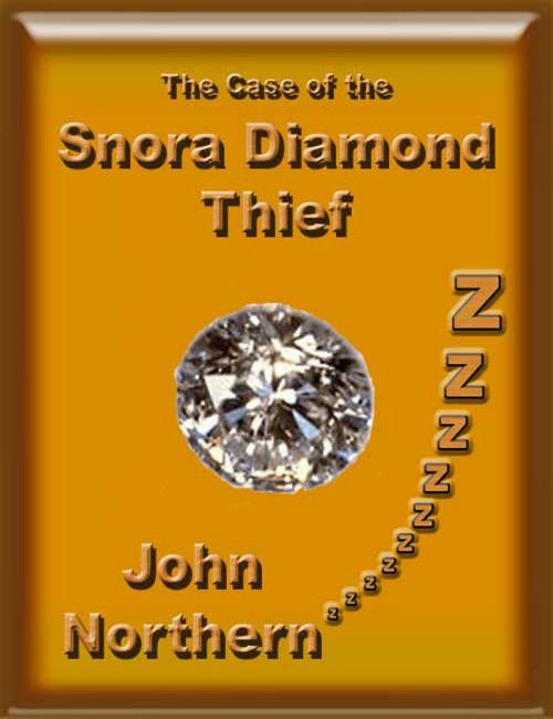 Cover of the book The Case of the Snora Diamond Thief by John Northern, John Northern