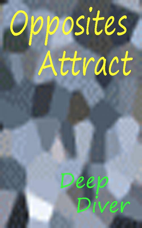 Cover of the book Opposites Attract by Deep Diver, Deep Diver