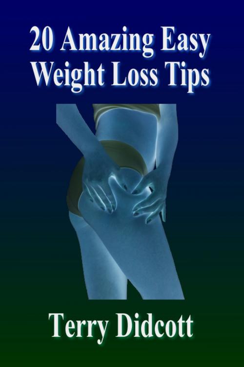 Cover of the book 20 Amazing Easy Weight Loss Tips by Terry Didcott, Terry Didcott