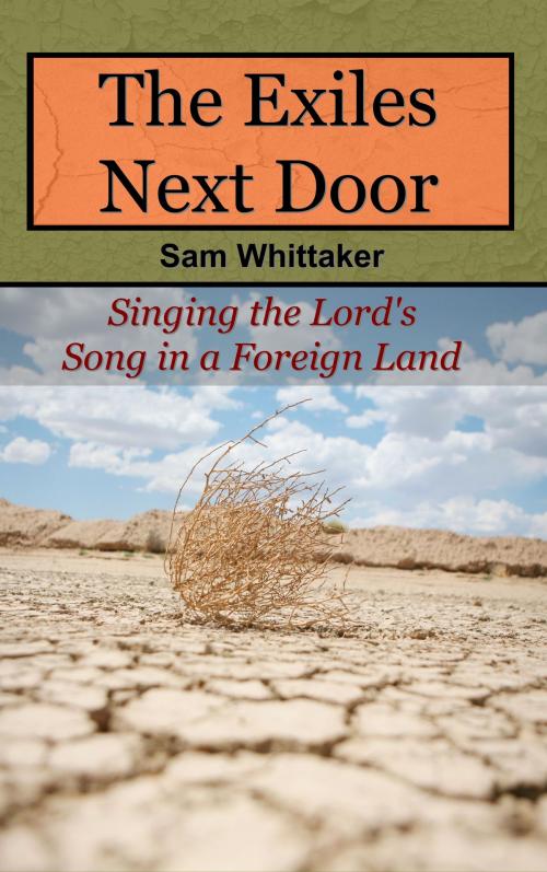 Cover of the book The Exiles Next Door by Sam Whittaker, Sam Whittaker