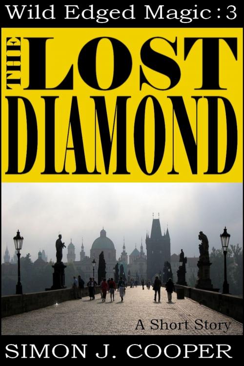 Cover of the book The Lost Diamond by Simon J. Cooper, Holbrook Publishing