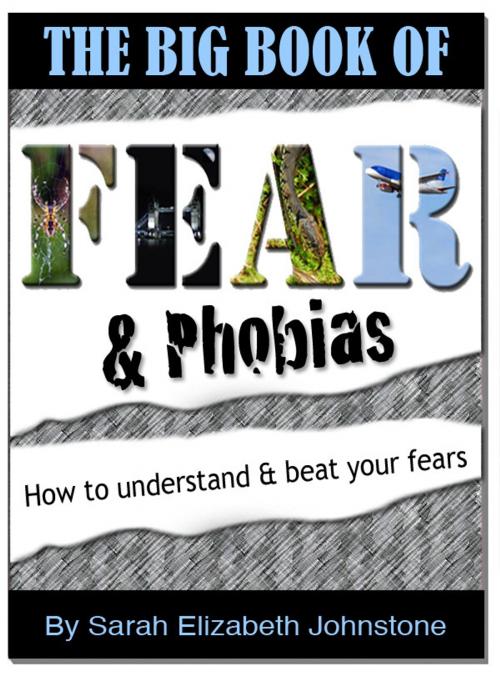 Cover of the book Fear and Phobias: A complete A-Z guide of phobias and how to overcome them by Sarah Johnstone, Sarah Johnstone