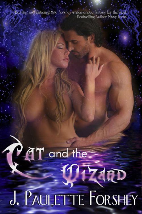 Cover of the book Cat and the Wizard by JPaulette Forshey, JPaulette Forshey
