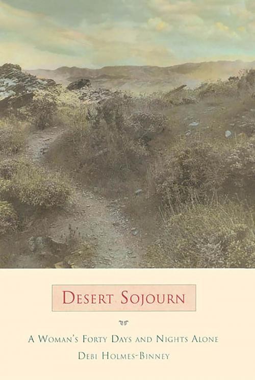 Cover of the book Desert Sojourn by Debi Holmes-Binney, Basic Books