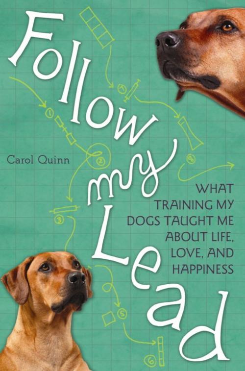 Cover of the book Follow My Lead by Carol Quinn, Basic Books