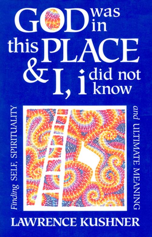 Cover of the book God Was in This Place & I, i Did Not Know by Rabbi Lawrence Kushner, Turner Publishing Company