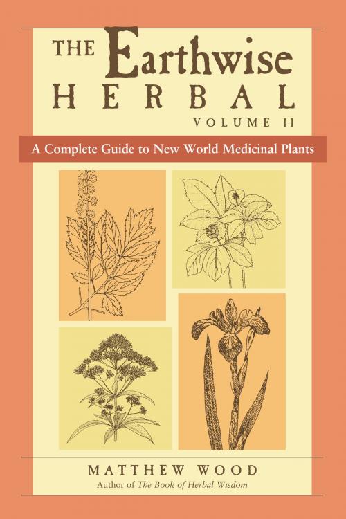 Cover of the book The Earthwise Herbal, Volume II by Matthew Wood, North Atlantic Books