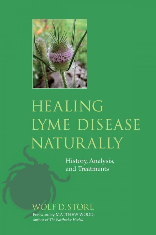 Cover of the book Healing Lyme Disease Naturally by Wolf D. Storl, North Atlantic Books