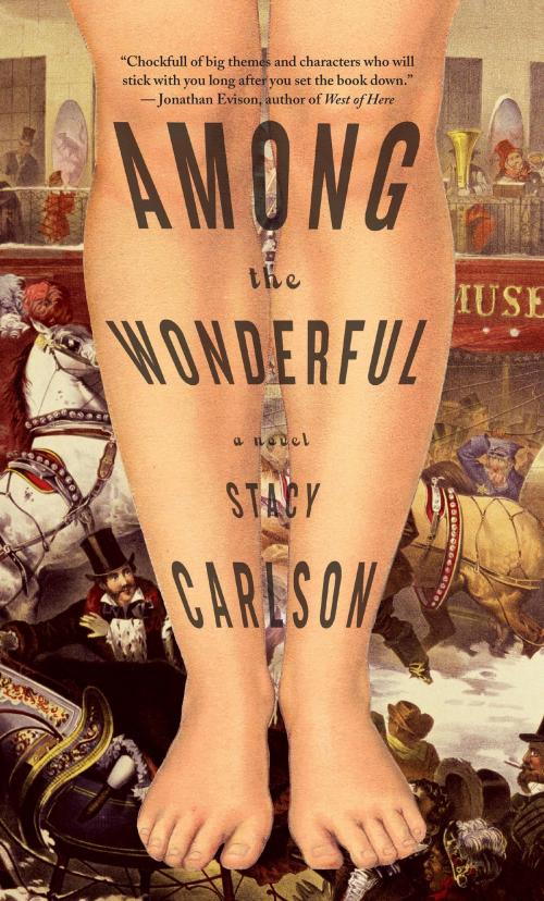 Cover of the book Among the Wonderful by Stacy Carlson, Steerforth Press