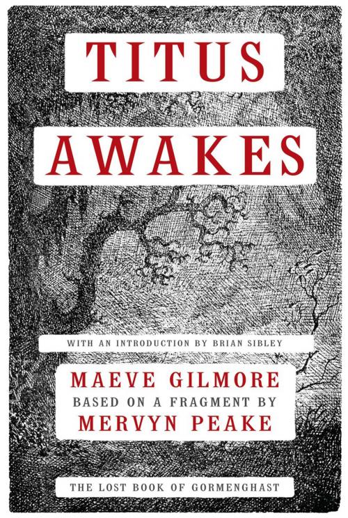 Cover of the book Titus Awakes by Maeve Gilmore, Mervyn Peake, ABRAMS