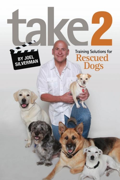 Cover of the book Take 2 by Joel Silverman, CompanionHouse Books