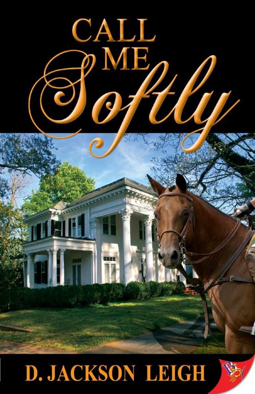 Cover of the book Call Me Softly by D. Jackson Leigh, Bold Strokes Books, Inc.