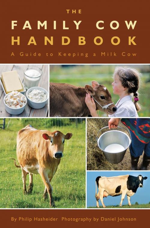 Cover of the book The Family Cow Handbook by Philip Hasheider, Daniel Johnson, Voyageur Press