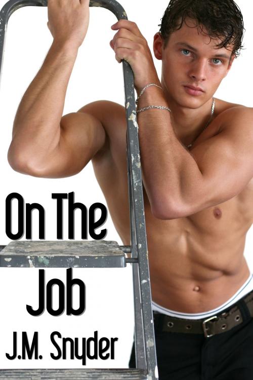 Cover of the book On the Job by J.M. Snyder, JMS Books LLC