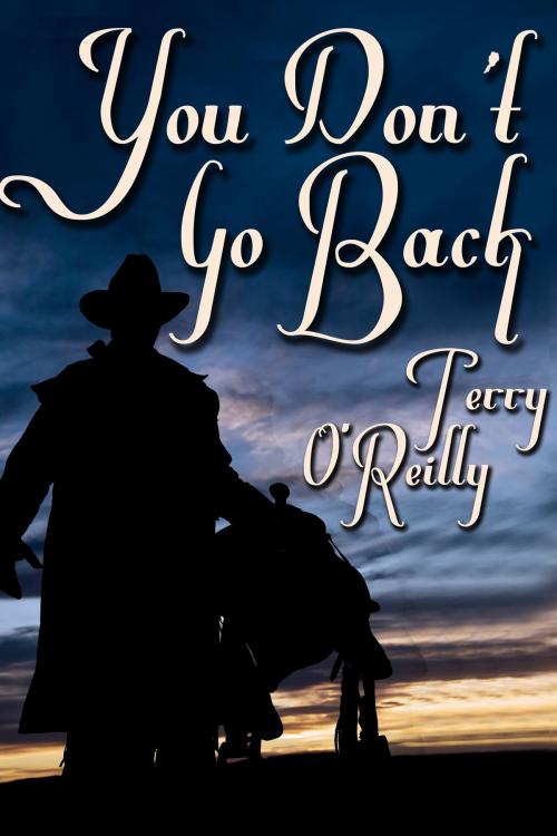 Cover of the book You Don't Go Back by Terry O'Reilly, JMS Books LLC