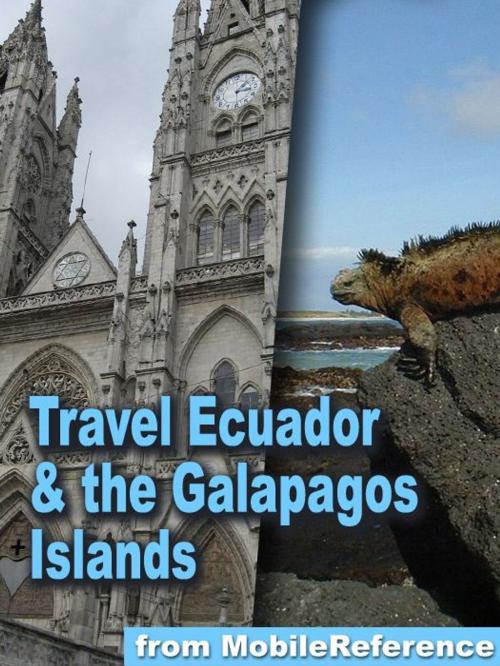 Cover of the book Travel Ecuador & the Galapagos Islands (Mobi Travel) by MobileReference, MobileReference