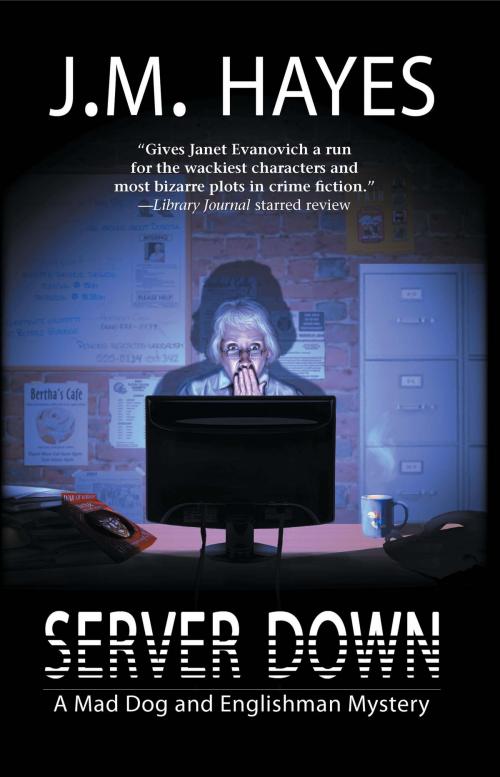 Cover of the book Server Down by J M Hayes, Sourcebooks