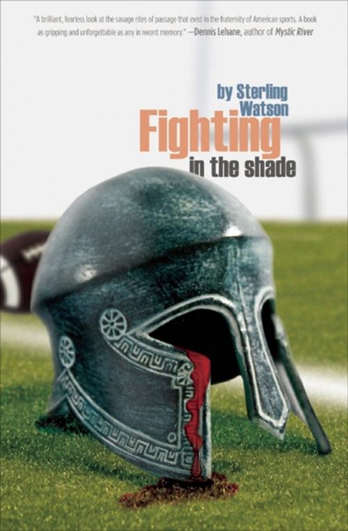 Cover of the book Fighting in the Shade by Sterling Watson, Akashic Books (Ignition)