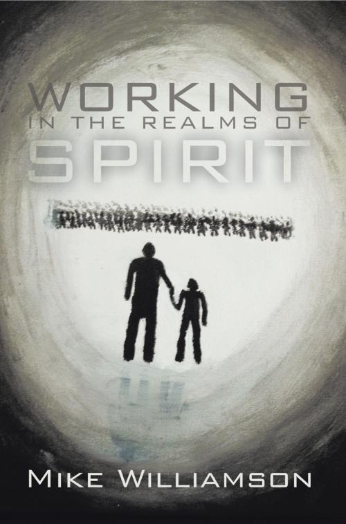 Cover of the book Working in the Realms of Spirit by Mike Williamson, BookWhirl.com