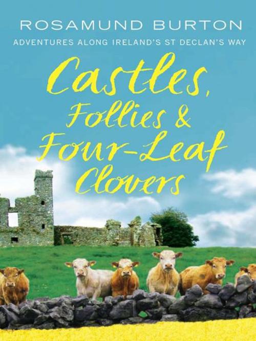 Cover of the book Castles, Follies and Four-Leaf Clovers by Rosamund Burton, Allen & Unwin