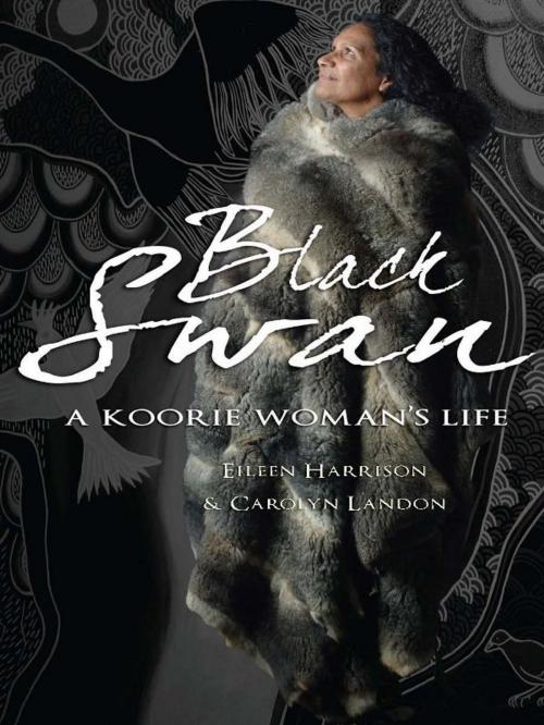 Cover of the book Black Swan by Eileen Harrison, Carolyn Landon, Allen & Unwin