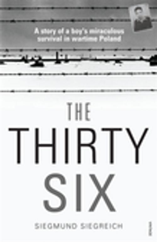 Cover of the book The Thirty-Six by Siegmund Siegreich, Penguin Random House Australia