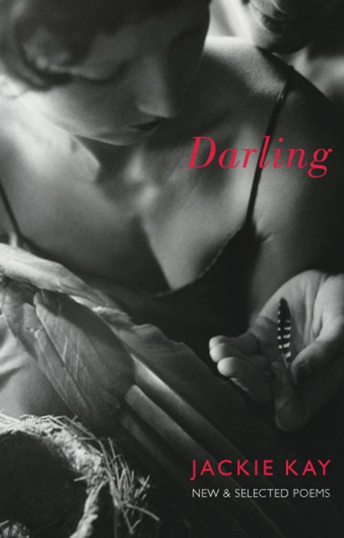 Cover of the book Darling by Jackie Kay, Bloodaxe Books